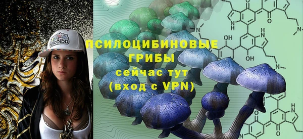 гидра Бронницы