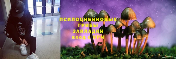 гидра Бронницы